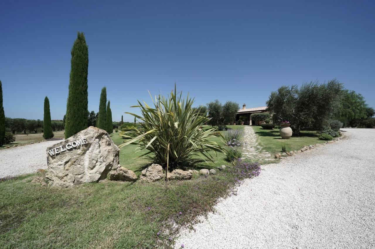 Casa Degli Ulivi Bed & Breakfast Cerveteri Exterior photo