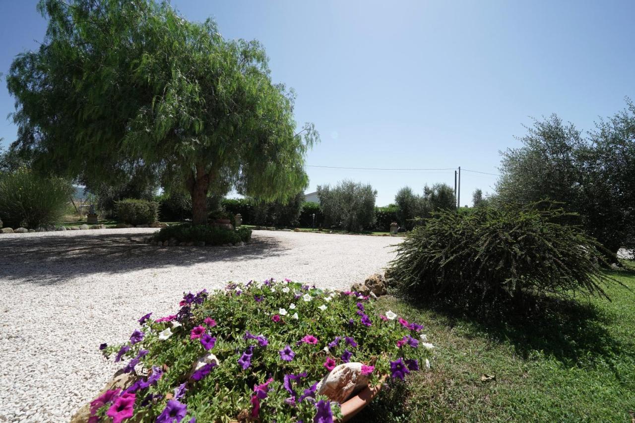 Casa Degli Ulivi Bed & Breakfast Cerveteri Exterior photo