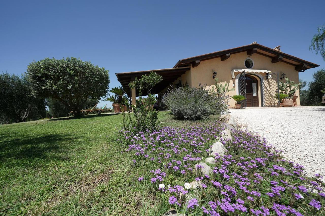 Casa Degli Ulivi Bed & Breakfast Cerveteri Exterior photo